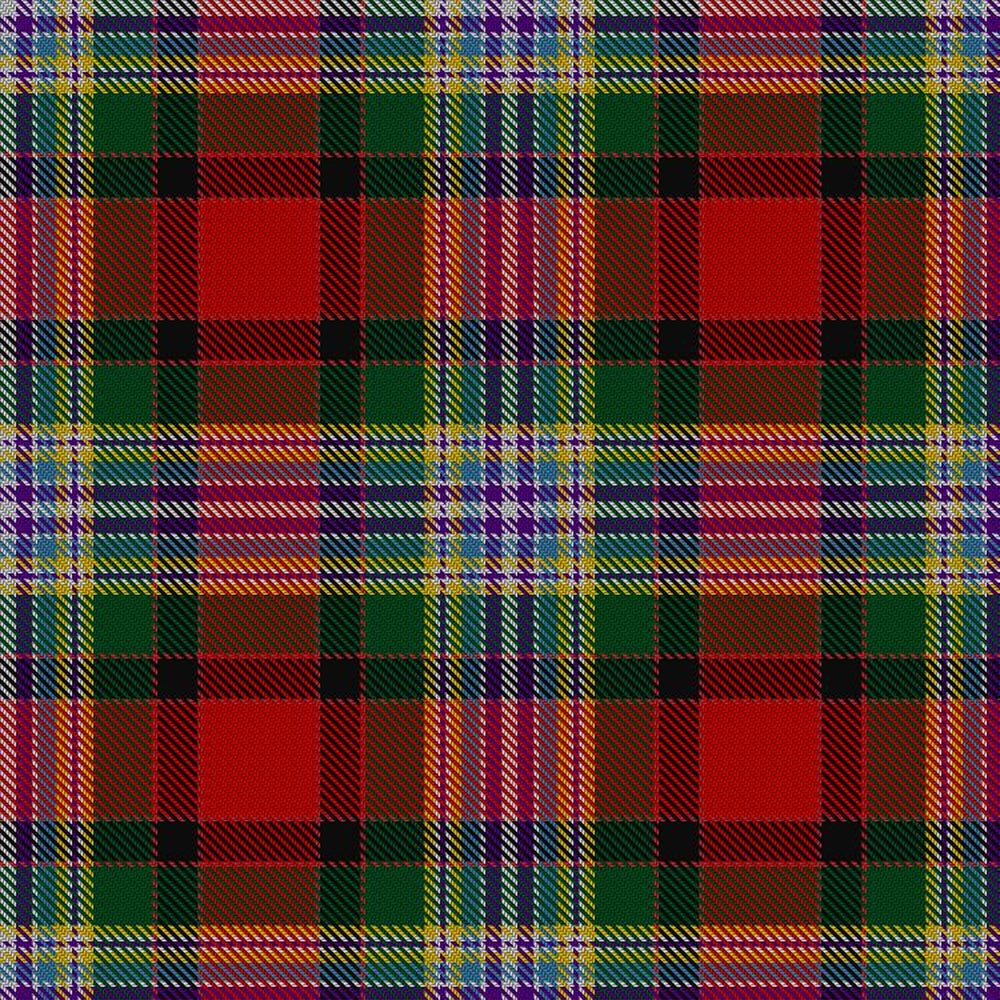 Dundee District Modern Tartan Swatch