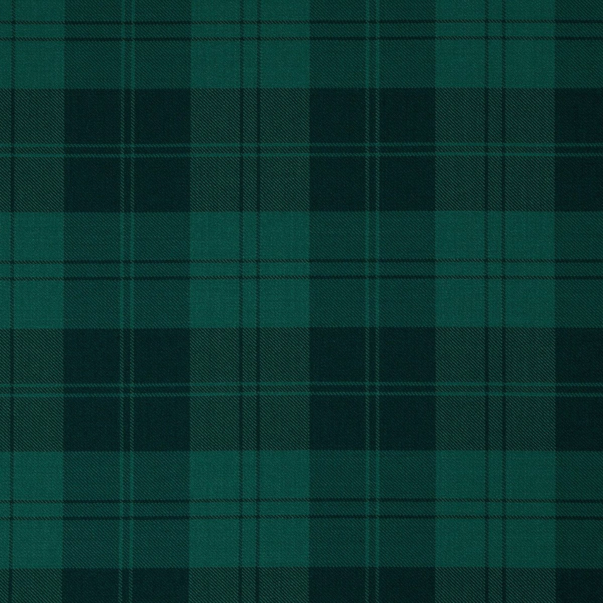 Erskine Hunting Modern Tartan Swatch