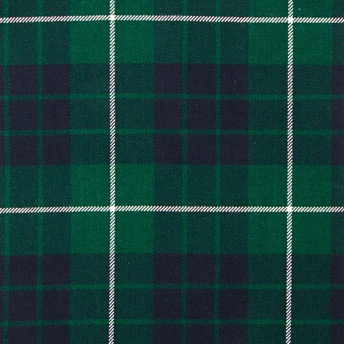 Hamilton Green Modern Tartan Swatch