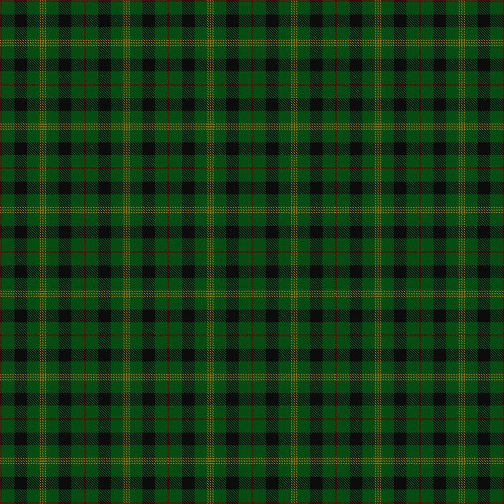 Paton Tartan Swatch