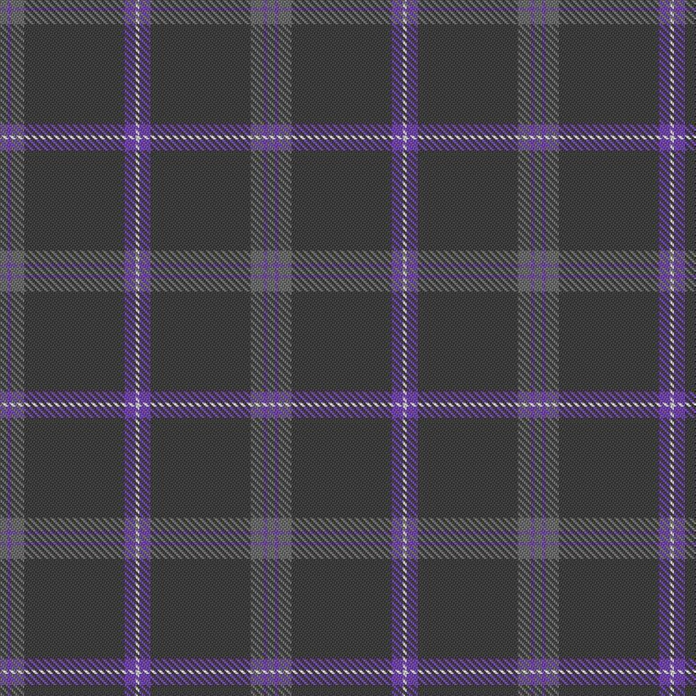 Spirit of Loch Earn Tartan Swatch