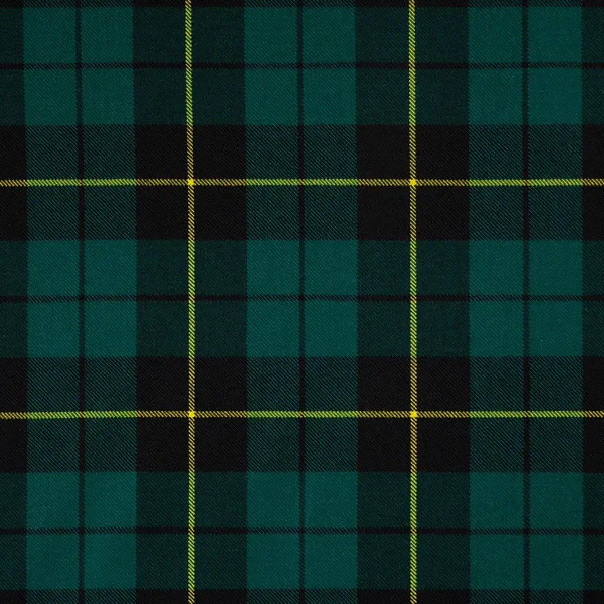Wallace Hunting Modern Tartan Swatch