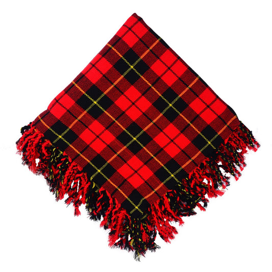 Wallace Tartan Fly Plaid Photo
