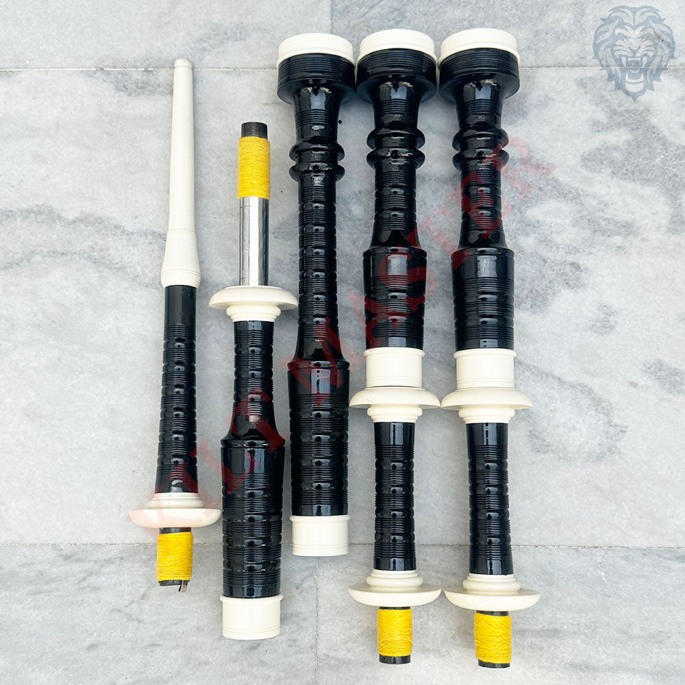 Beginner Bagpipe: Your Perfect Instrument for Learning