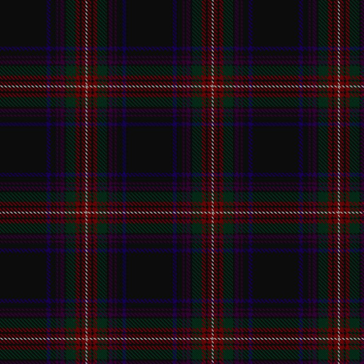 Braveheart Warrior Modern Tartan Swatch