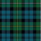 Campbell of Loudoun Ancient Tartan Swatch