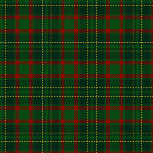 Clan Doyle Tartan Swatch