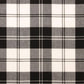 Clan Erskine Black and White Tartan Swatch