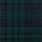Clan Matheson Hunting Modern Tartan Swatch