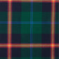 Clan Young Modern Tartan Swatch