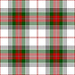 Clanne Stewart Tartan Kilt
