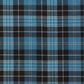 Clergy Ancient Tartan Swatch