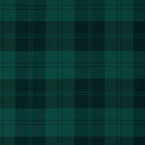 Erskine Hunting Modern Tartan Swatch