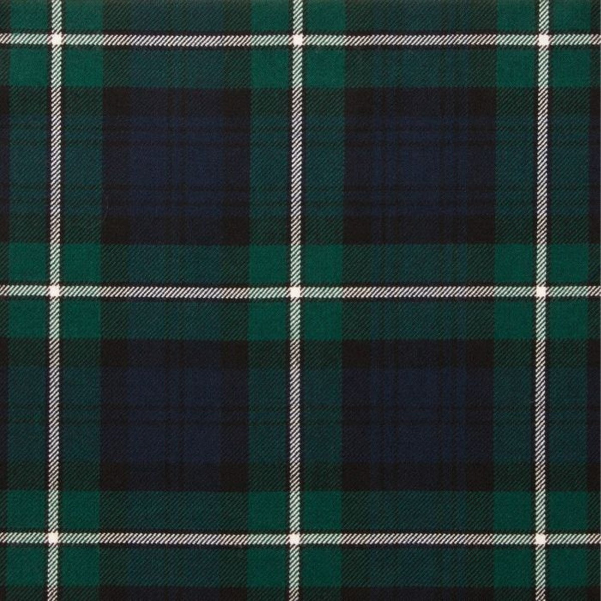 Forbes Modern Tartan Swatch