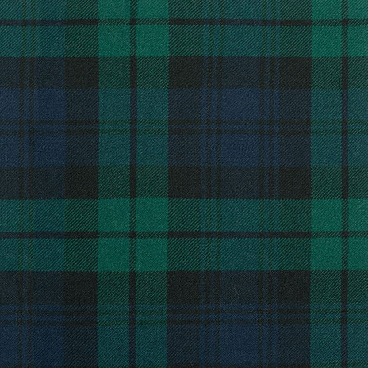 Grant Hunting Modern Tartan Swatch