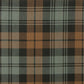 Grant Hunting Weathered Tartan Swatch