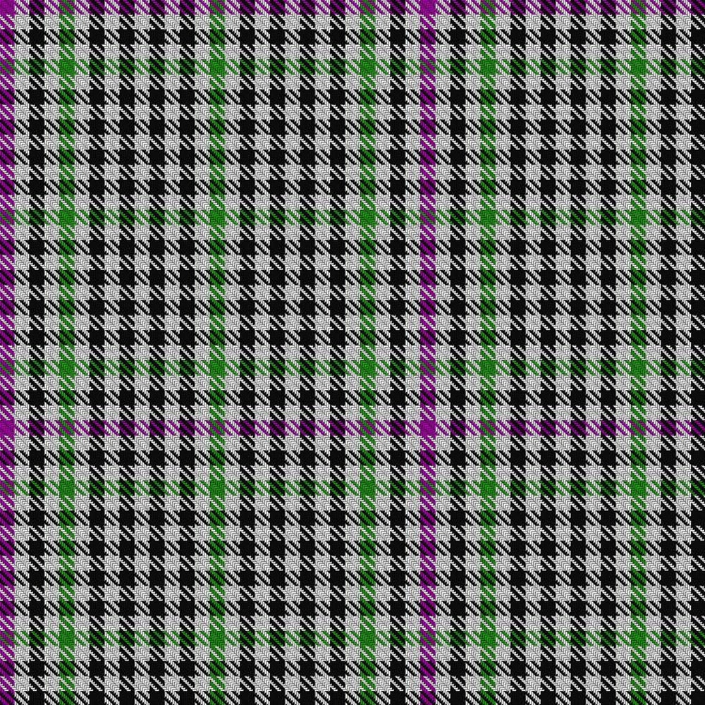 Halliday Tartan Swatch