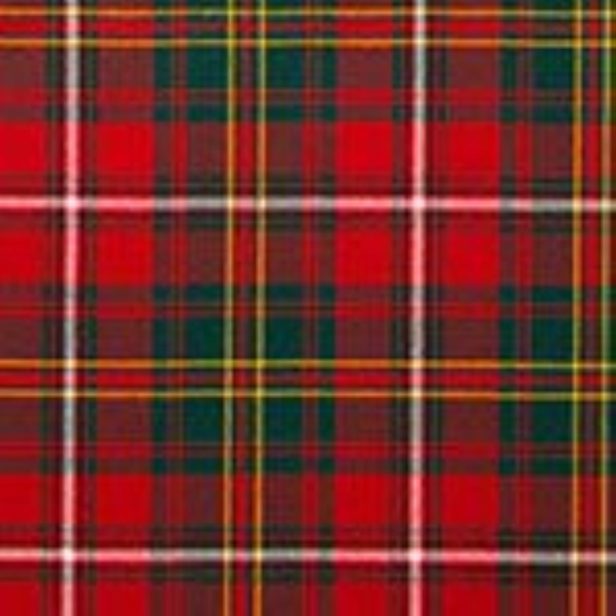 Hay Modern Tartan Kilt