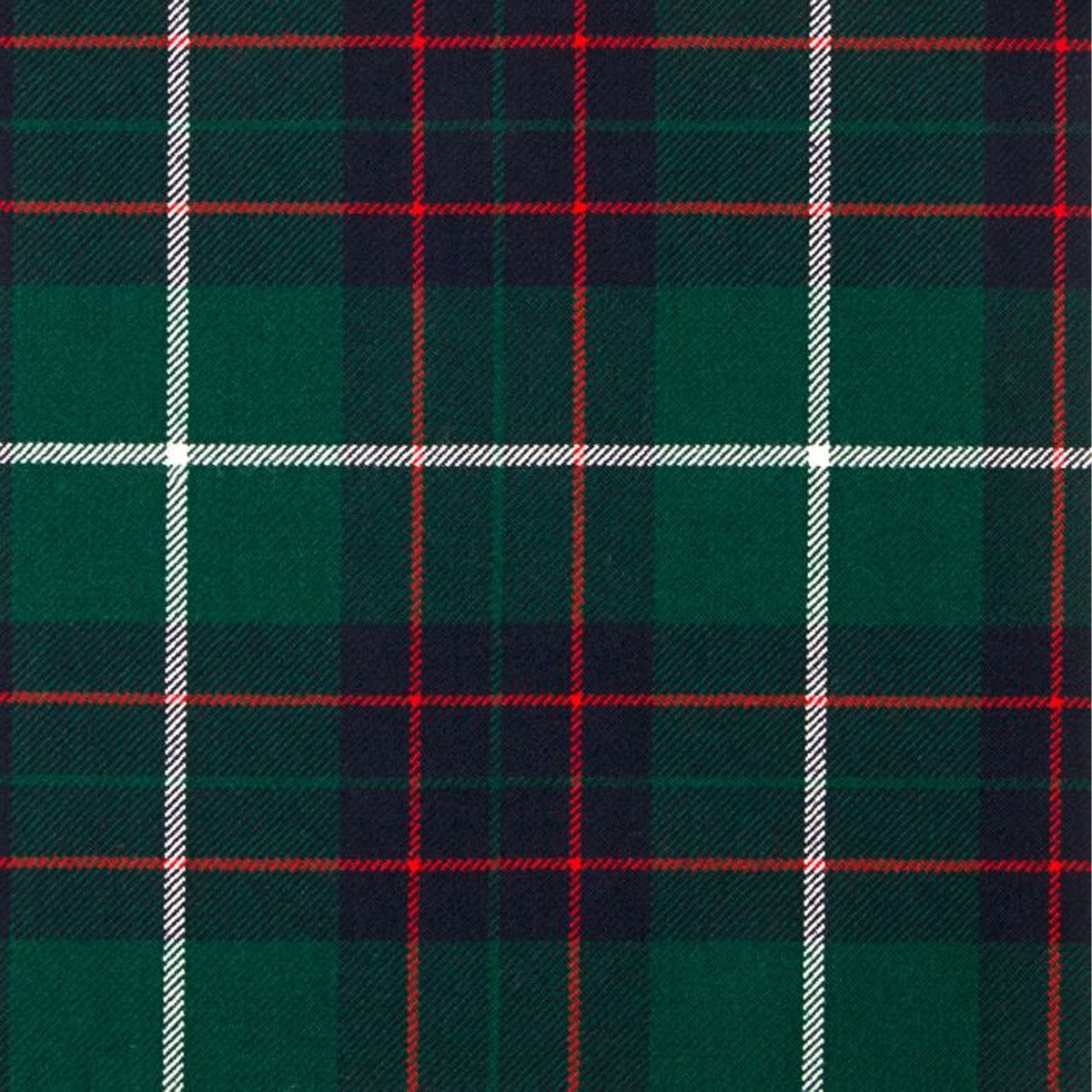 MacIntyre Hunting Modern Tartan Swatch