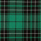 MacLean Hunting Ancient Tartan Swatch