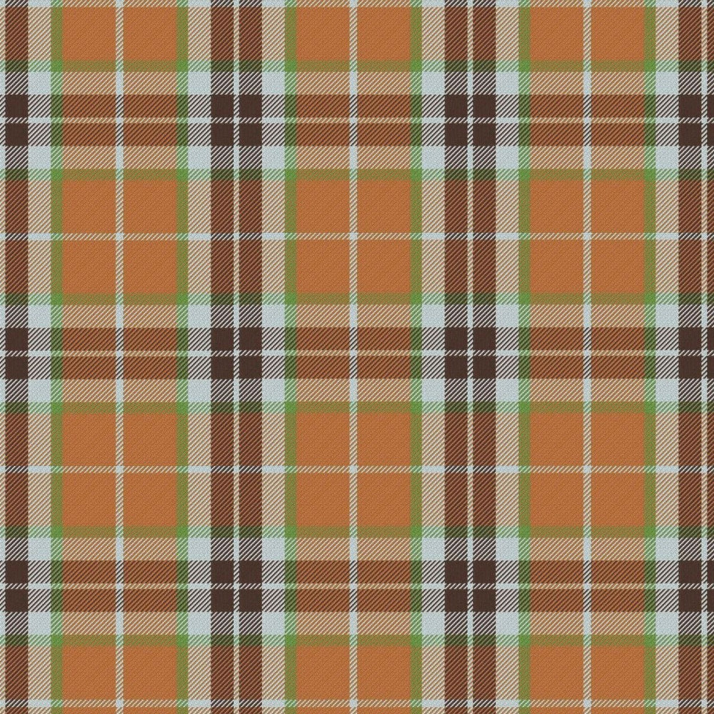 MacTavish Hunting Ancient Tartan Swatch