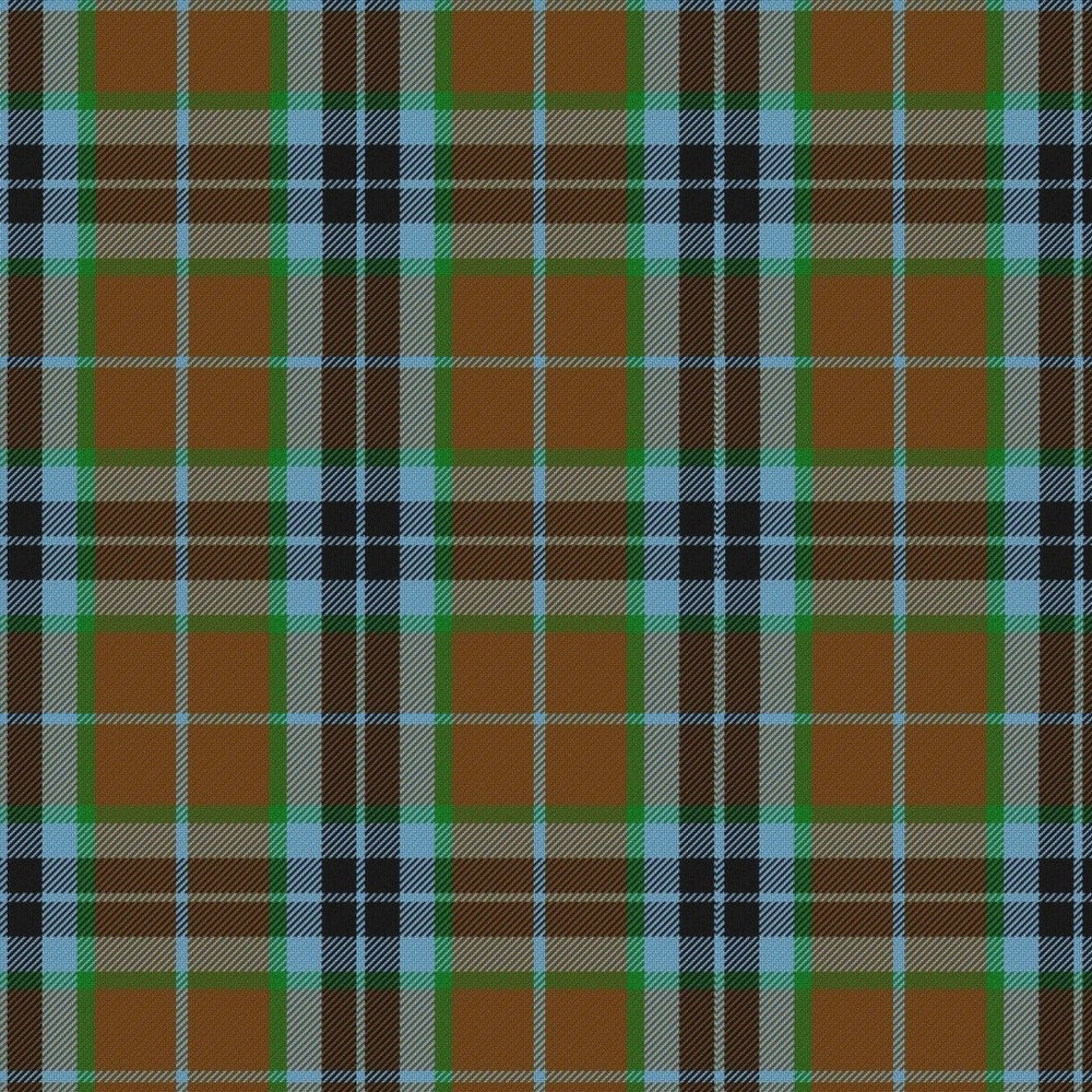 MacTavish Hunting Modern Tartan Swatch