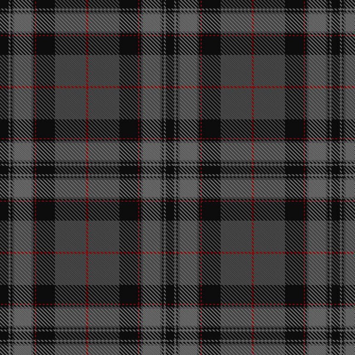 Pride of Scotland Silver Tartan Swatch