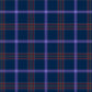 Rabbi Hawks Kosher Tartan Swatch