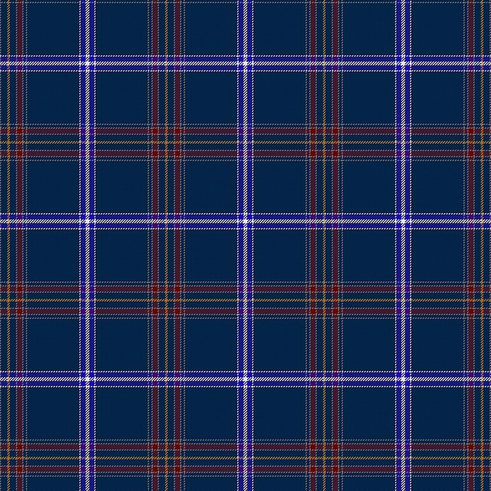 Rabbi Hawks Kosher Tartan Swatch