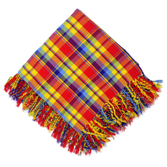 Rainbow Tartan Fly Plaid