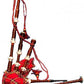 Learning Bagpipe for the Beginner pipers & drummers