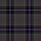 Scottish Spirit Tartan Swatch