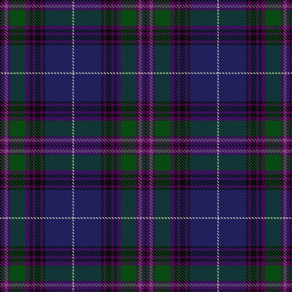 Spirit of Bannockburn Tartan Swatch