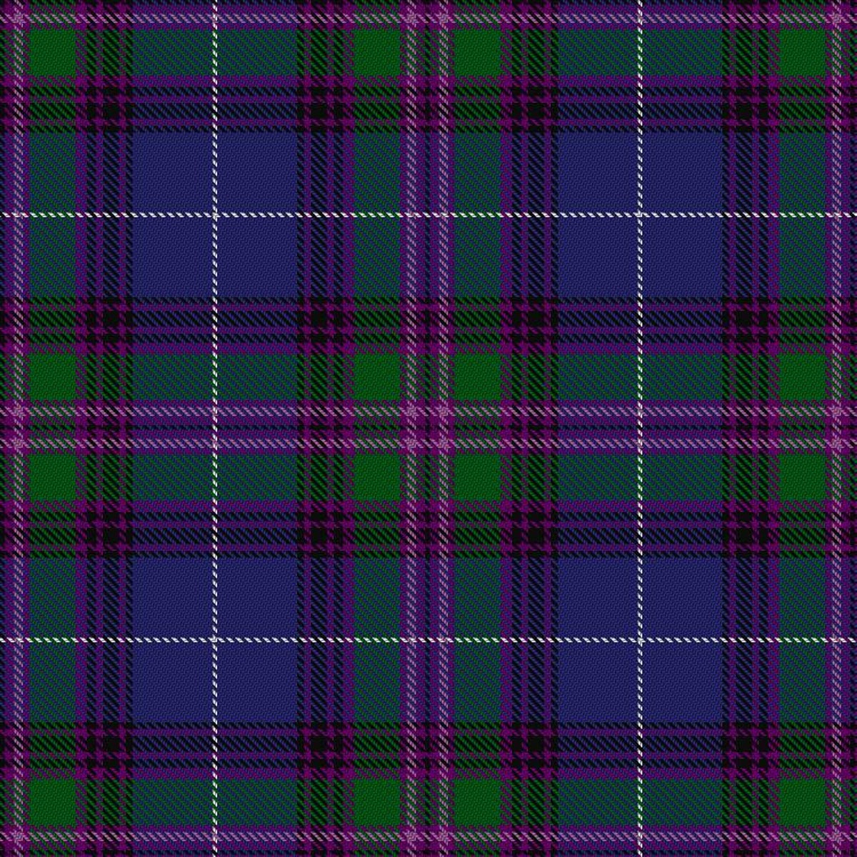 Spirit of Bannockburn Tartan Swatch