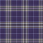 Spirit of Glasgow Tartan Swatch