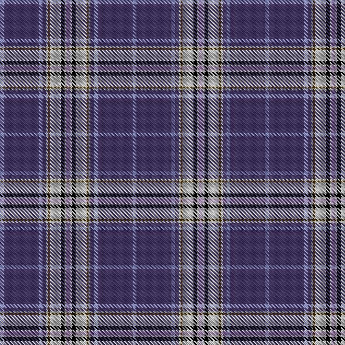 Spirit of Glasgow Tartan Swatch
