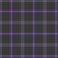 Spirit of Loch Earn Tartan Swatch
