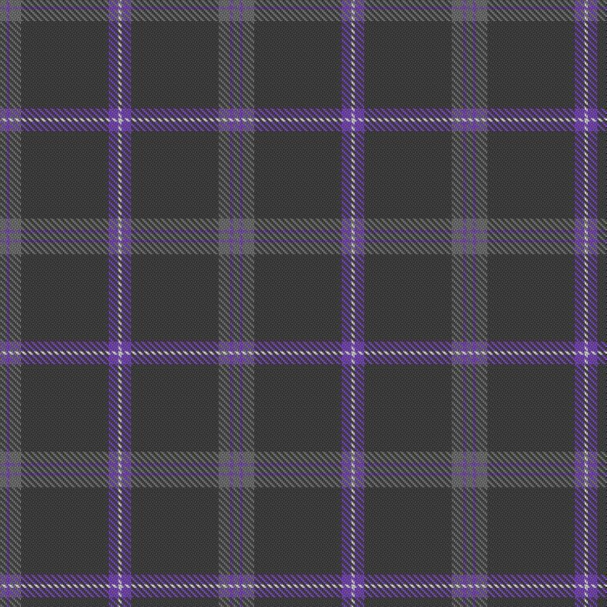 Spirit of Loch Earn Tartan Swatch