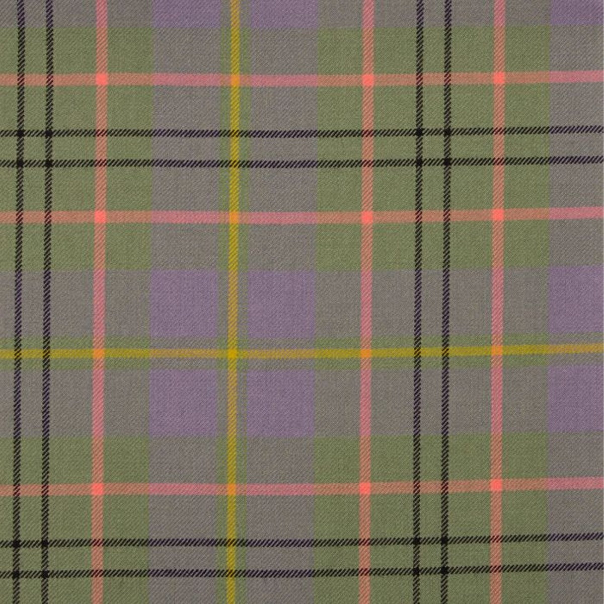 Taylor Ancient Tartan Swatch
