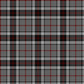 Thompson Grey Dress Tartan Swatch