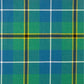 Turnbull Hunting Ancient Tartan Swatch