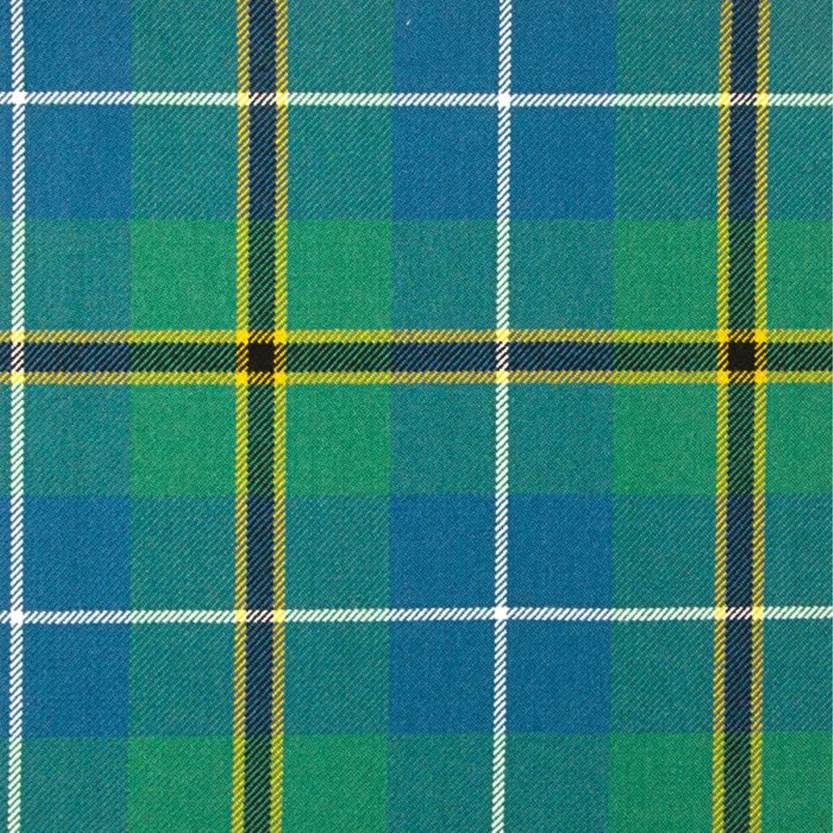 Turnbull Hunting Ancient Tartan Swatch