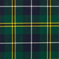 Turnbull Hunting Modern Tartan Swatch