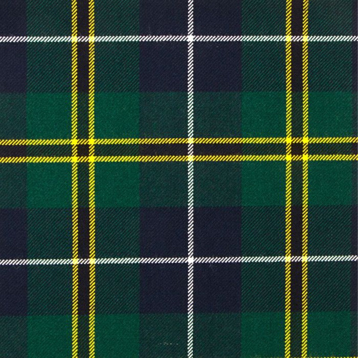 Turnbull Hunting Modern Tartan Swatch