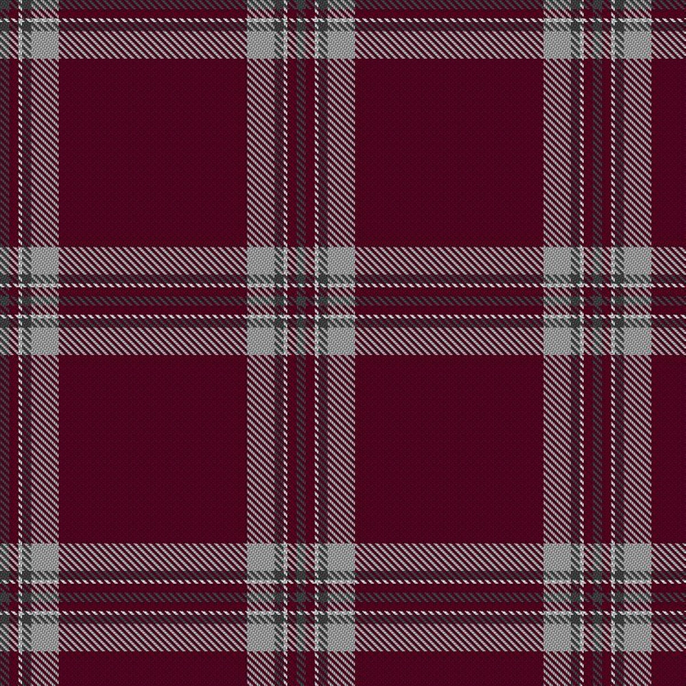 Tynecastle Park Tartan Swatch