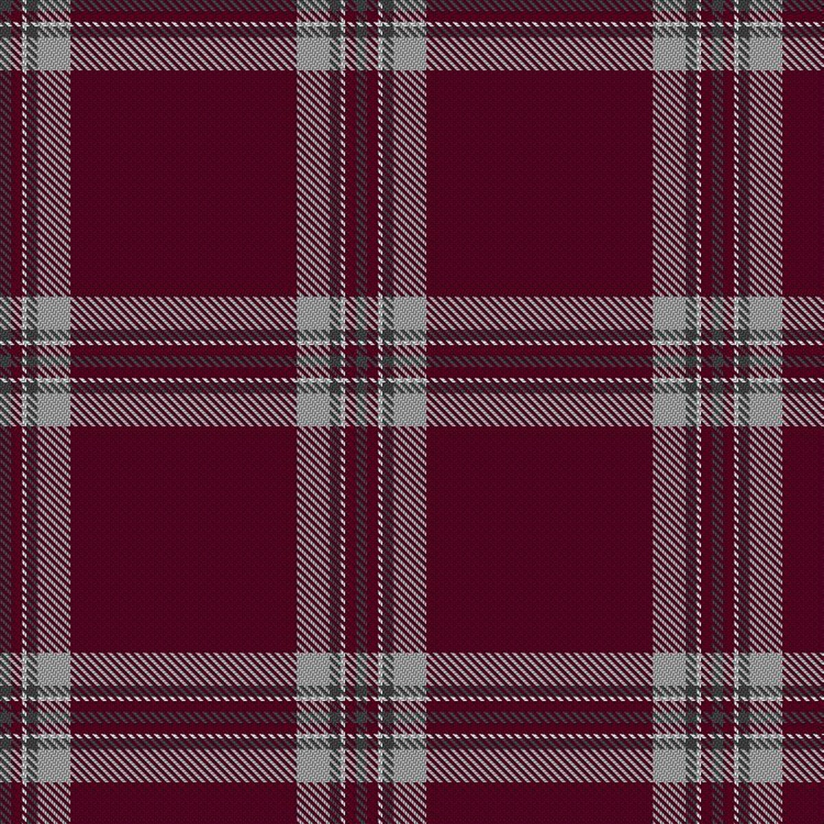 Tynecastle Park Tartan Swatch