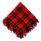 Wallace Tartan Fly Plaid Photo