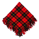 Wallace Tartan Fly Plaid Photo
